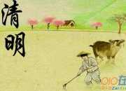 又是一年清明節作文250字