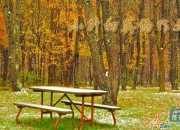 自信的重要性英語(yǔ)作文范文