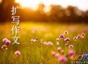 酒泉子擴寫作文