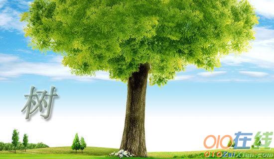 关于植树节的作文9篇
