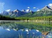 鄭人買履的寓言故事