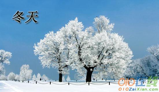 关于冬天的作文550字