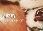 《哈姆雷特》教學(xué)反思