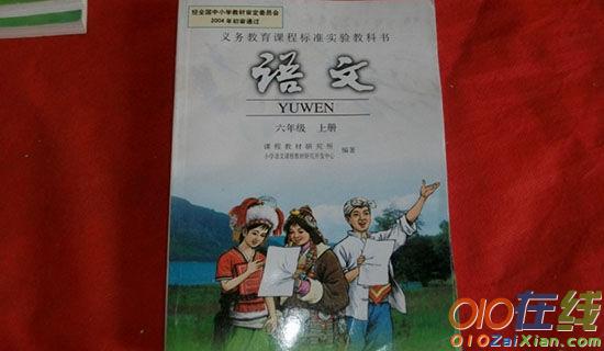 六年级上册《中华少年》教学反思范文