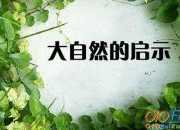 大自然的啟示作文350字