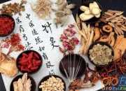 校園生活五年級(jí)作文700字