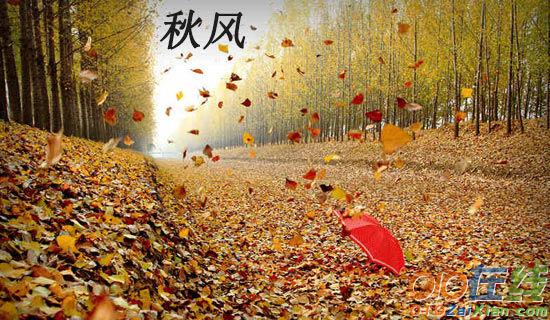 秋风·秋雨·秋叶高三作文范文