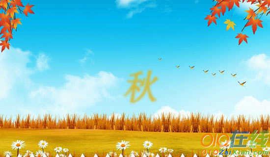 秋季学期期中队工作计划