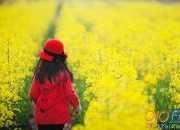 值得珍藏的記憶作文5篇