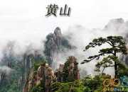 黃山奇松作文6篇