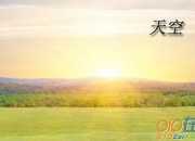 仰望天空的孩子作文