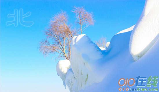 北师大版一年级语文上册《雪地里的小画家》教案