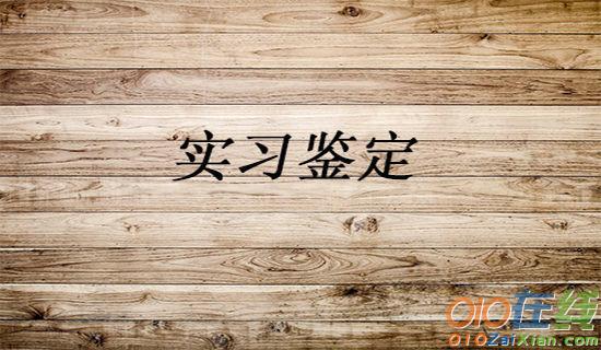 护士骨科实习小结自我鉴定