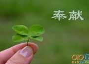 贊美奉獻精神的作文