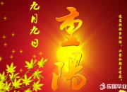 唐代詩人寫的關(guān)于重陽節(jié)的詩詞