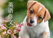 對于競爭的看法英語作文