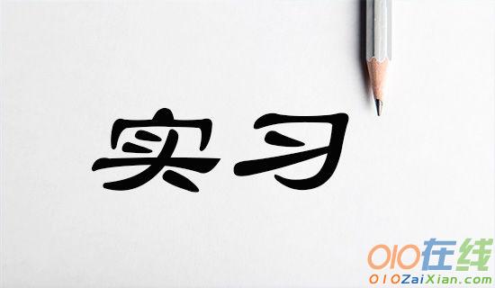 酒店管理专业毕业生实习报告