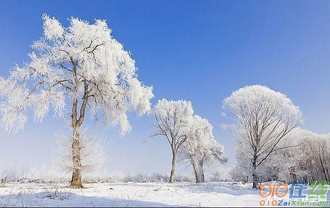 关于形容雪景的优美句子