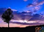 【實用】語文教學心得體會模板集合6篇