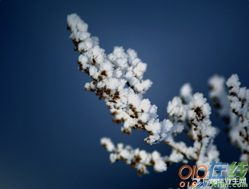 老家下雪了的句子