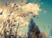 心境難平作文1200字