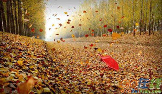 落寞像秋的枯叶抒情散文