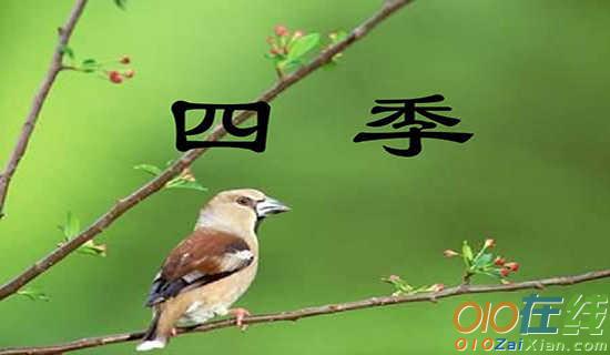 季节在变，爱你不变散文