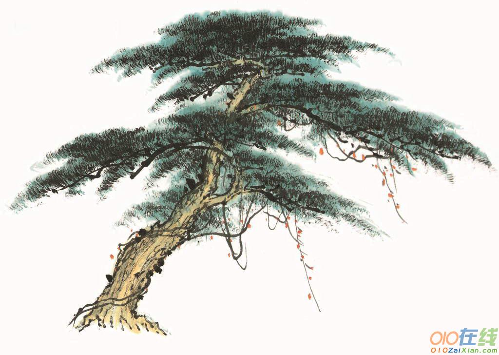 描写冬天松柏树的句子