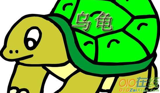 会飞的小乌龟作文700字