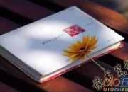 《福爾摩斯探案集》的讀書筆記