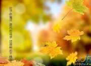 勇敢的去追求自己想要的幸福作文