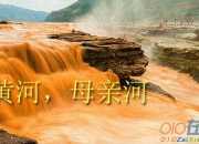 母親的愛：雨中溫情550字作文