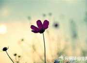 英文的傷感愛情語句
