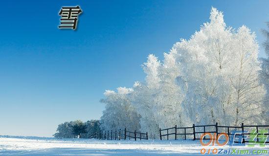 小学关于春雪的作文10篇