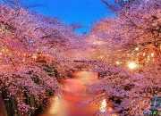 現代文學老師畢業留言
