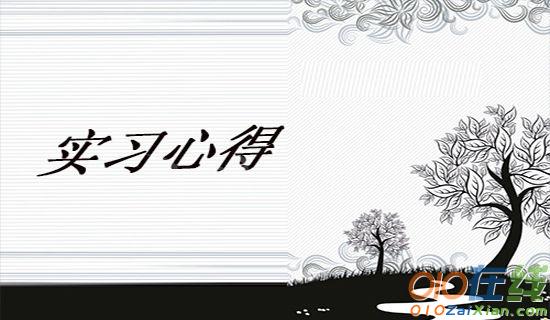 最新计算机专业实习生实习心得体会范文