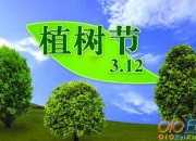 關于植樹節的作文：植樹節活動