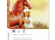 二年級《風之王》讀書筆記