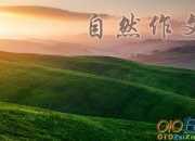 優(yōu)秀作文：大自然的偉大