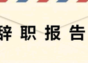 軟件開發(fā)人員辭職報(bào)告精選范文