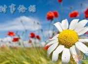 今年2015年七夕怎么過
