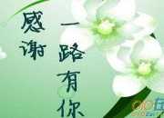 暖心簡短的感謝的話語（精選50句）