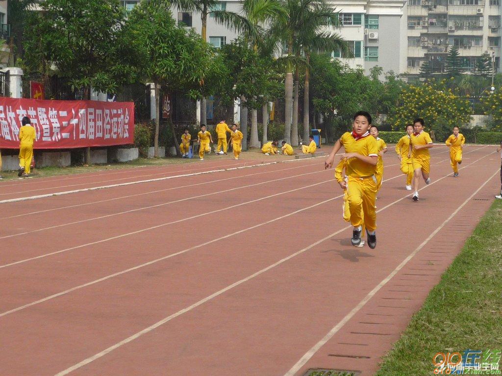 致运动会志愿者广播稿3篇