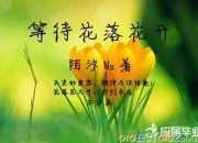 滿分作文那一次我讀懂了花落的聲音