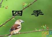 季羨林散文摘抄