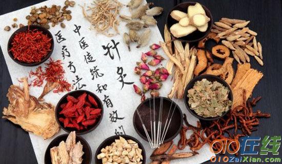中国传统文化重阳节作文8篇