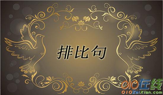 赞美老师排比句