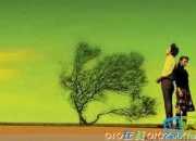 感到幸福的優美句子