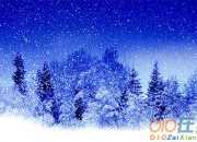 優美的雪景作文