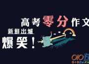 2016年北京市高考零分作文